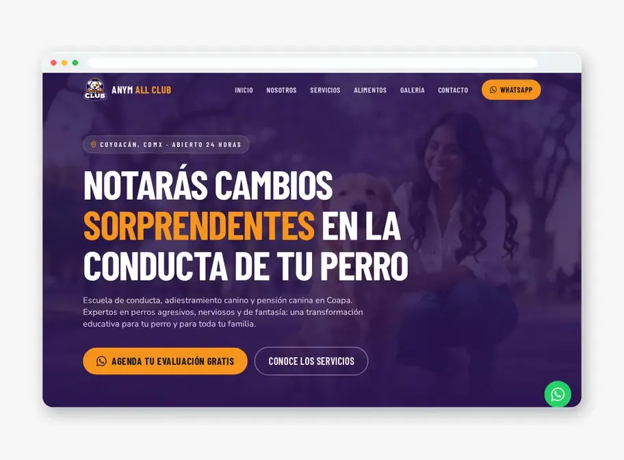 Página web de ANyM All Club hecha por Página Web Fácil